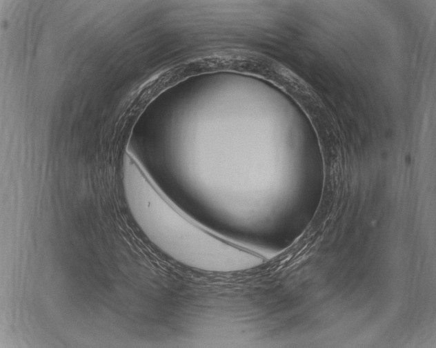 X0000067930822200604131104