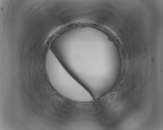 X0000067930823200604131104