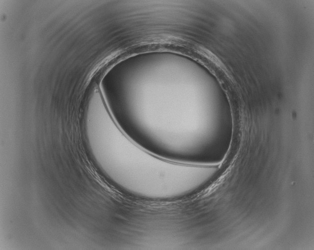 X0000067930826200604131104