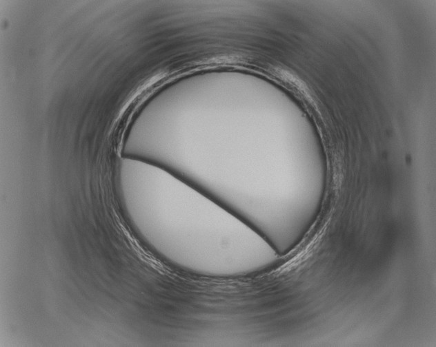 X0000067930827200604131104