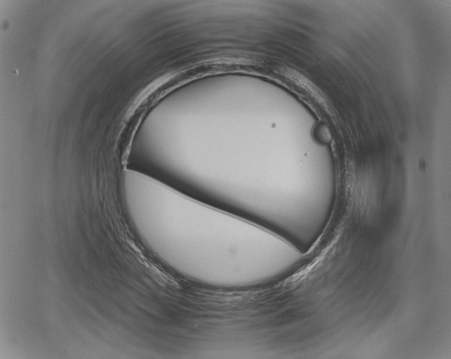 X0000067930829200604131104