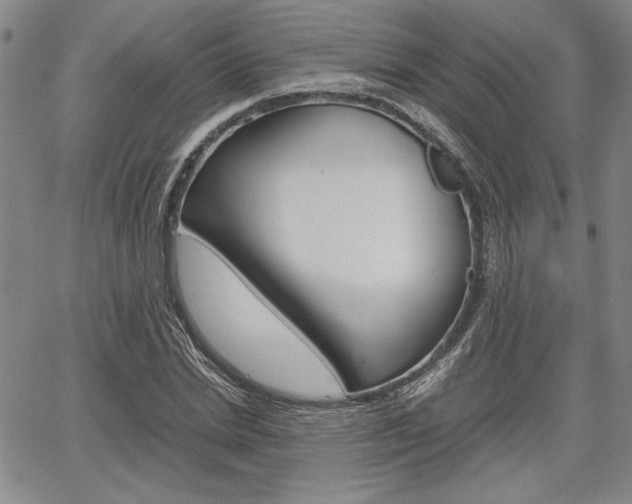 X0000067930830200604131104