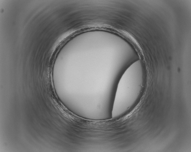 X0000067930831200604131104