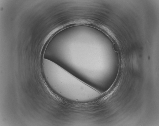 X0000067930837200604131104