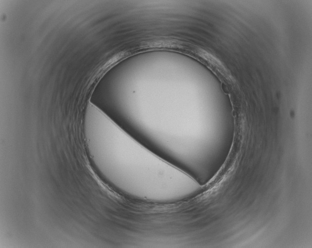 X0000067930841200604131104