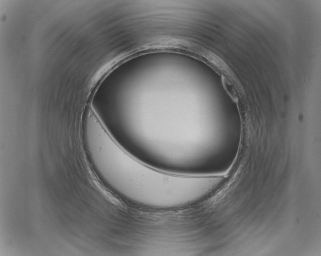 X0000067930842200604131104