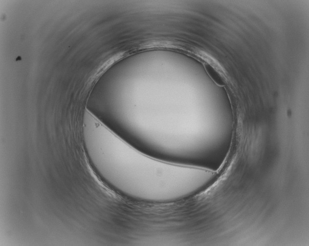 X0000067930849200604131104