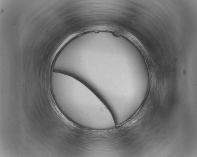 X0000067930852200604131104