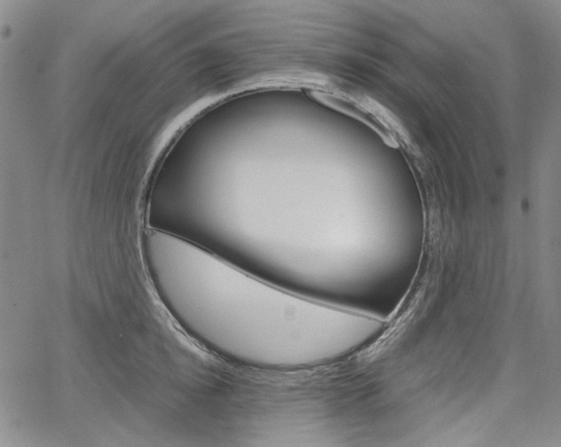 X0000067930854200604131104