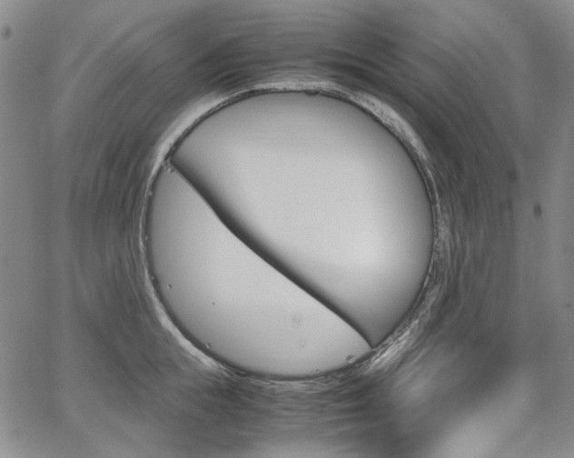 X0000067930855200604131104