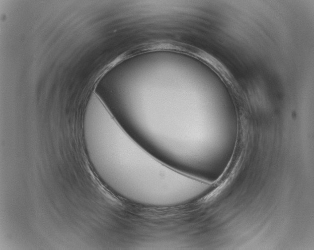 X0000067930857200604131104