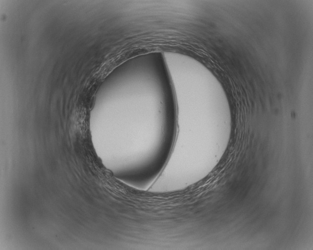 X0000067930867200604131104