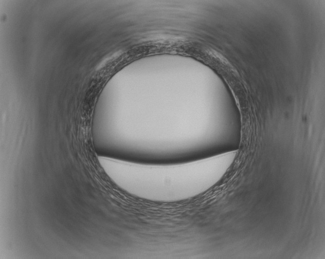 X0000067930869200604131104