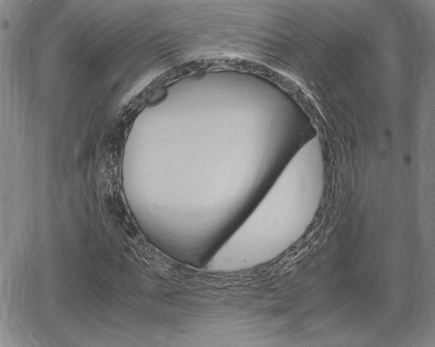 X0000067930871200604131104