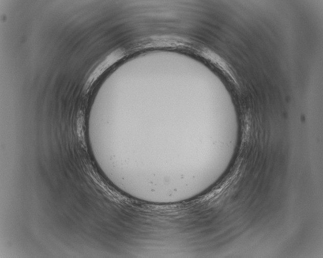 X0000067930874200604131104
