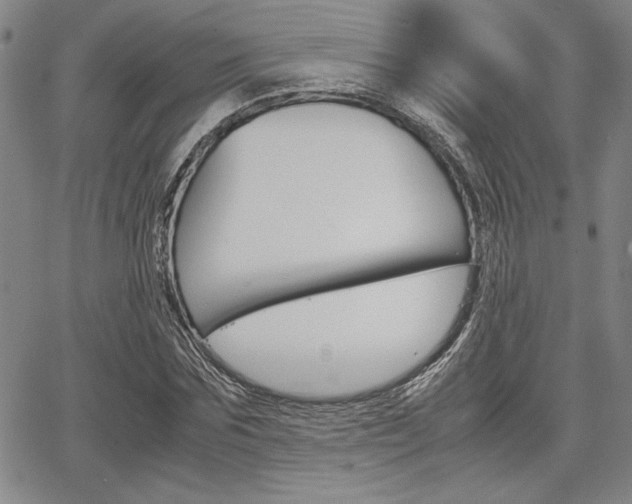 X0000067930875200604131104