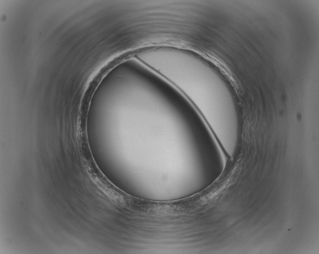 X0000067930880200604131103