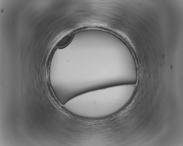 X0000067930887200604131103