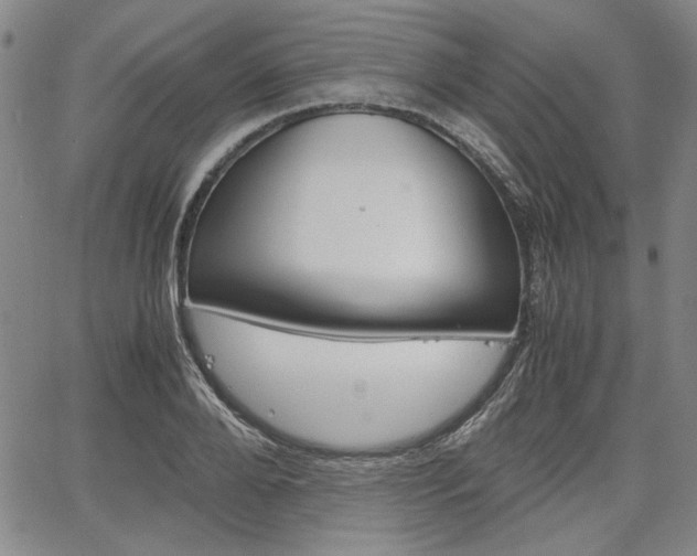 X0000067930888200604131103