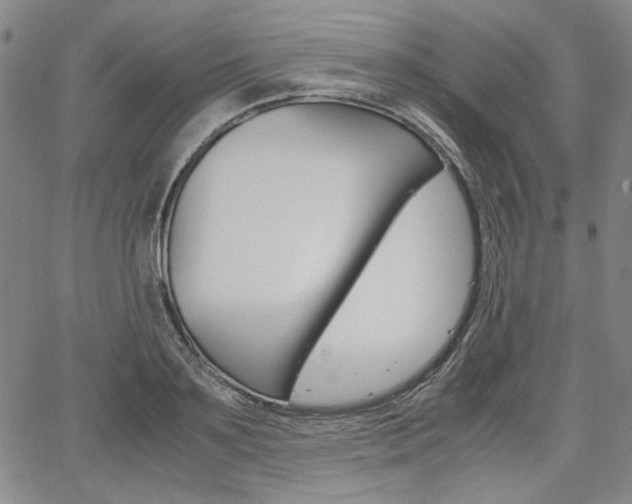 X0000067930891200604131103
