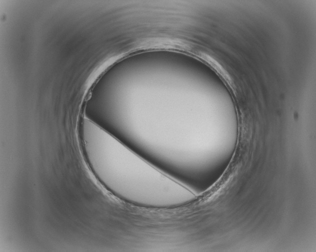 X0000067930901200604131103