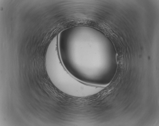 X0000067930916200604131102