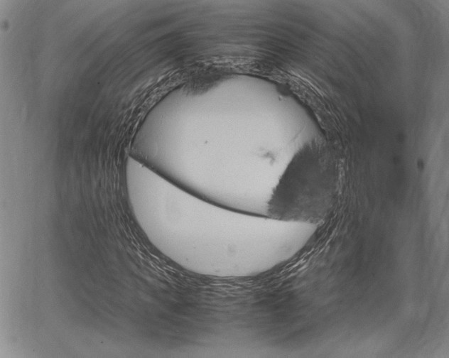 X0000067930917200604131102