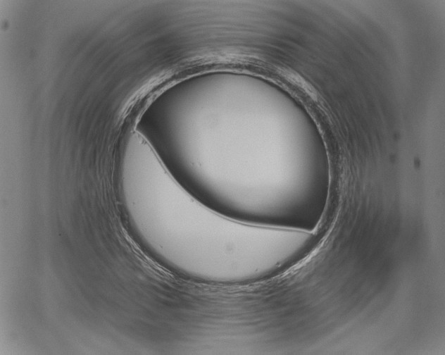X0000067930922200604131102