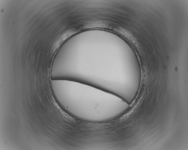 X0000067930937200604131103