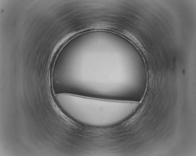 X0000067930939200604131103