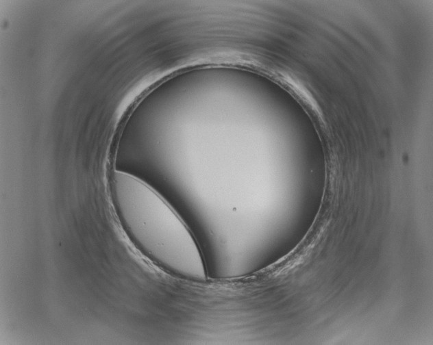 X0000067930944200604131103