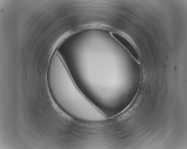 X0000067930946200604131103