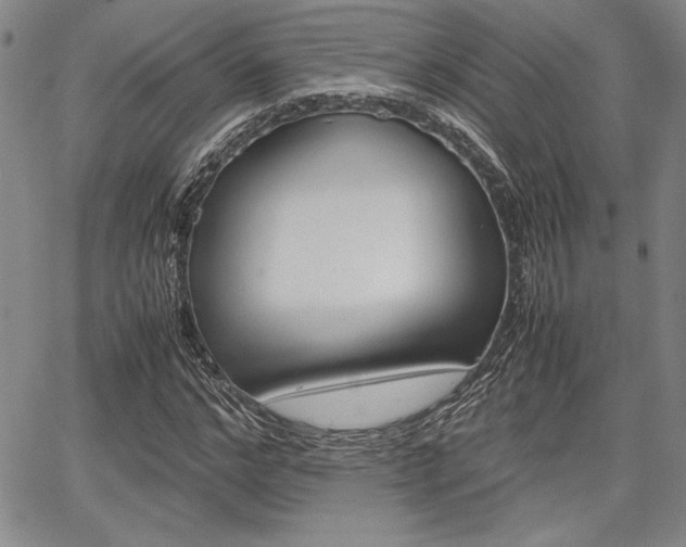 X0000067930968200604131102