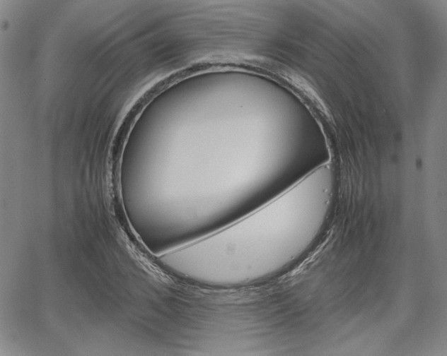 X0000067930976200604131102