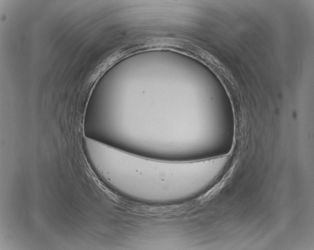 X0000067930985200604131102
