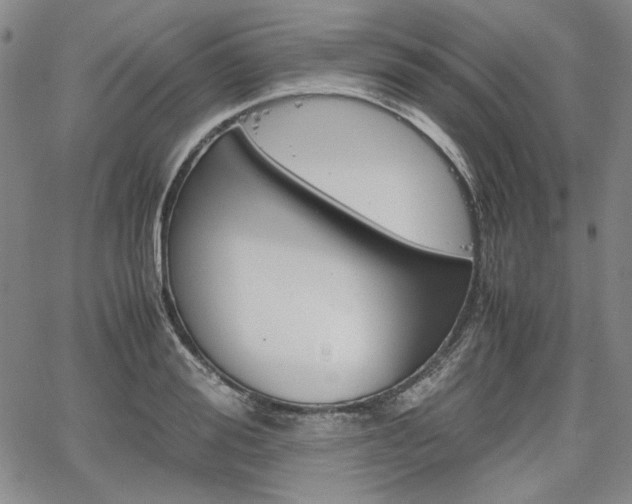 X0000067930988200604131102