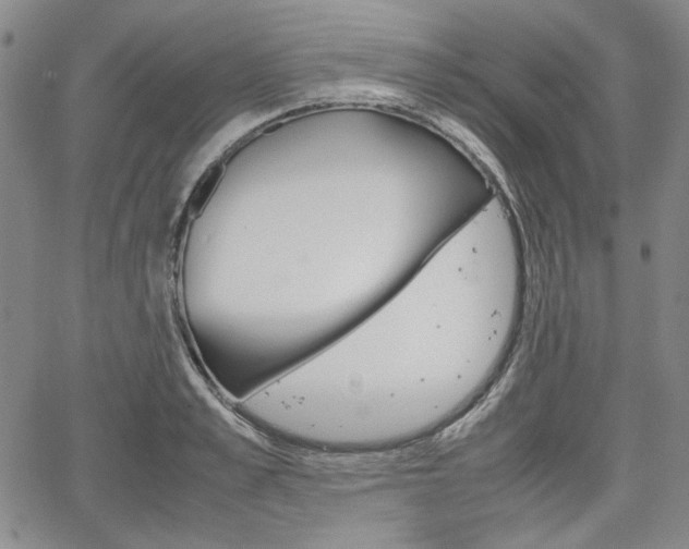 X0000067930989200604131102