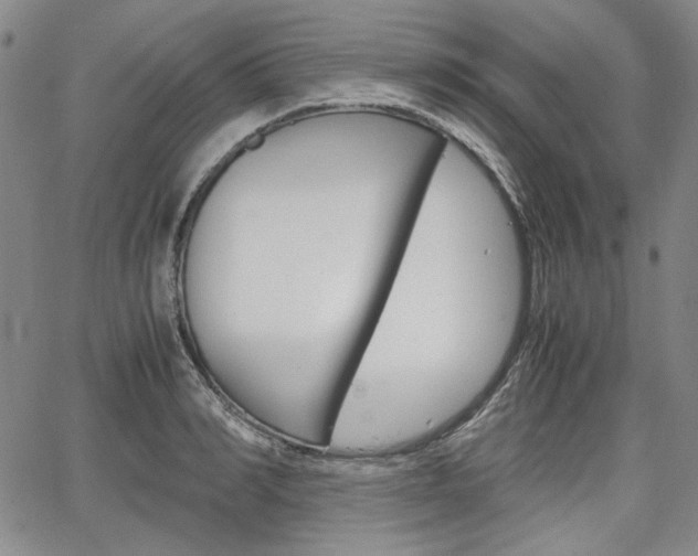 X0000067930990200604131102