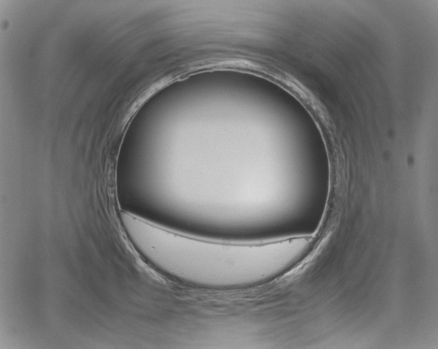 X0000067931001200604131101
