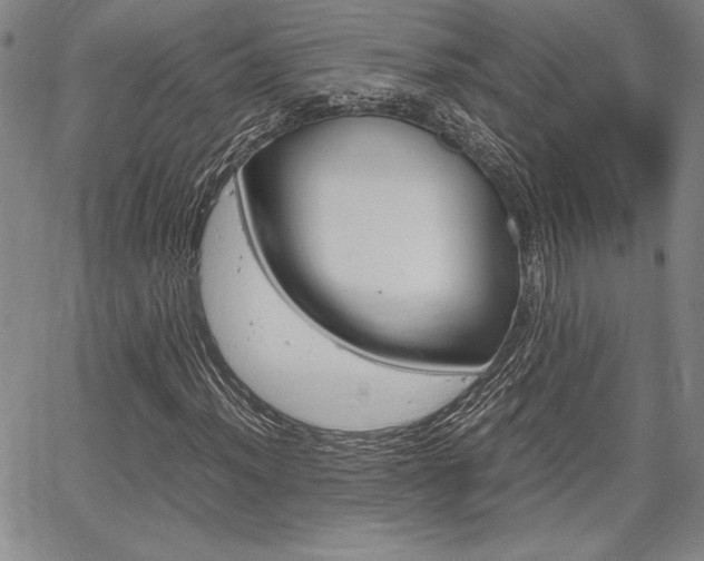 X0000067931012200604131101