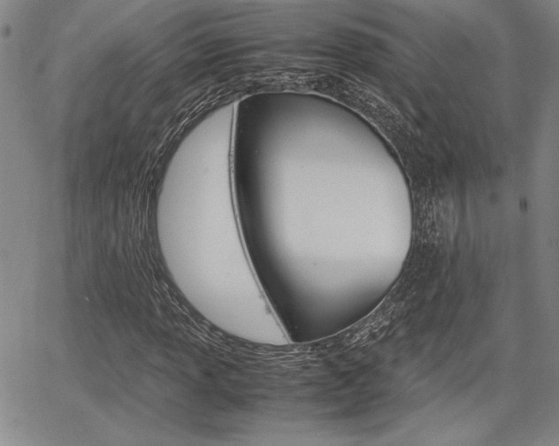 X0000067931013200604131101