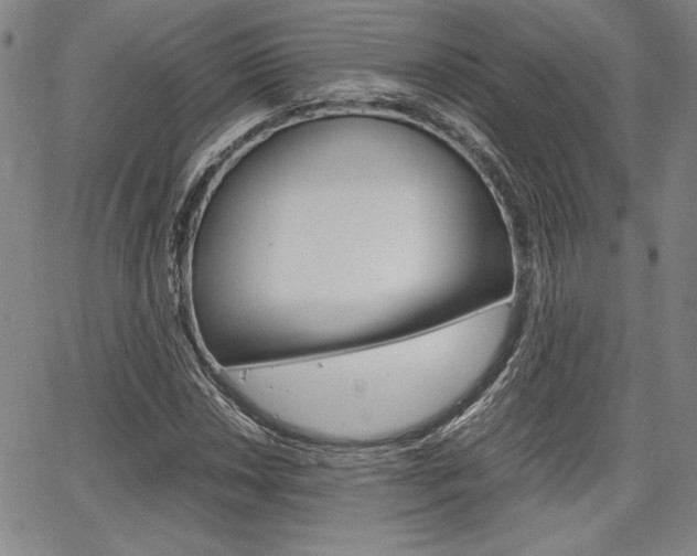 X0000067931018200604131101