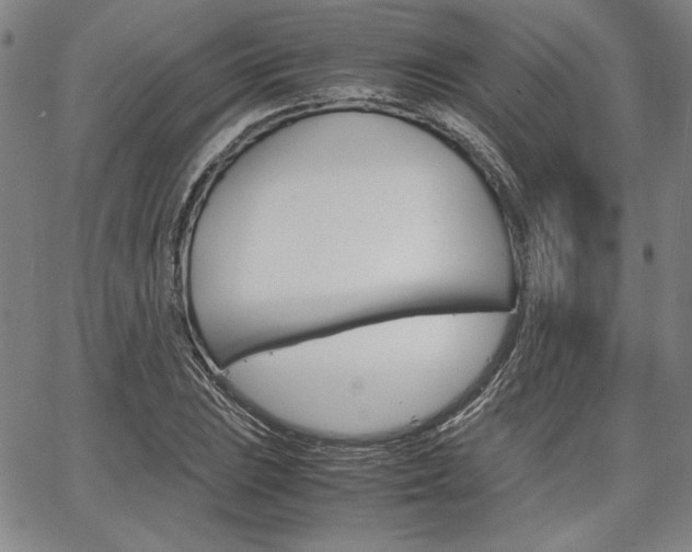 X0000067931023200604131101
