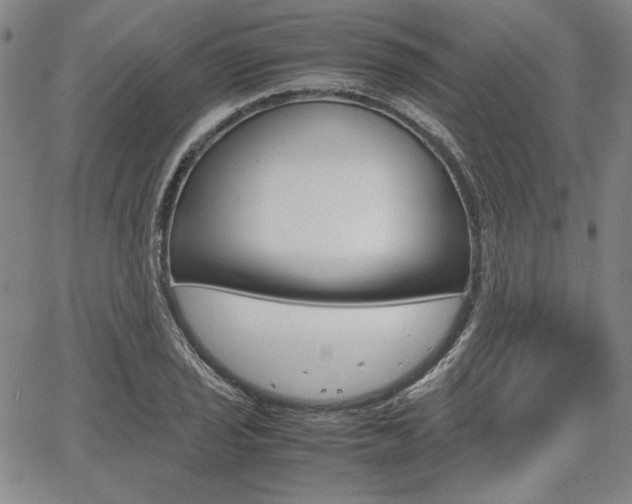 X0000067931029200604131101