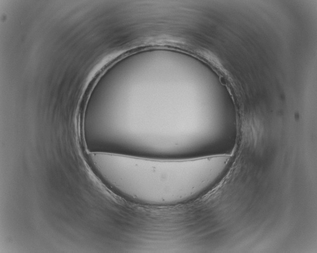 X0000067931032200604131101