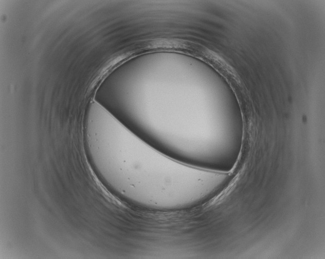 X0000067931033200604131101