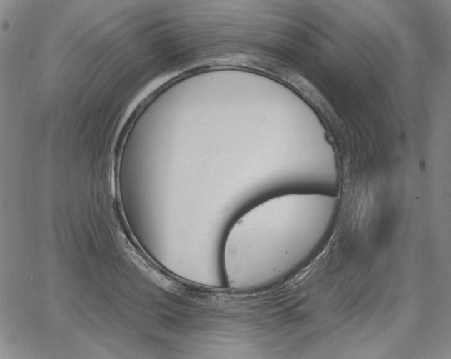 X0000067931036200604131101