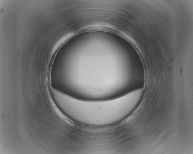 X0000067931042200604131101