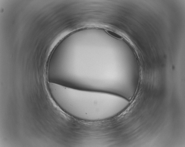 X0000067931048200604131101