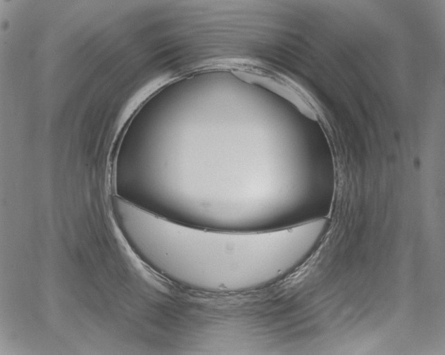 X0000067931050200604131101